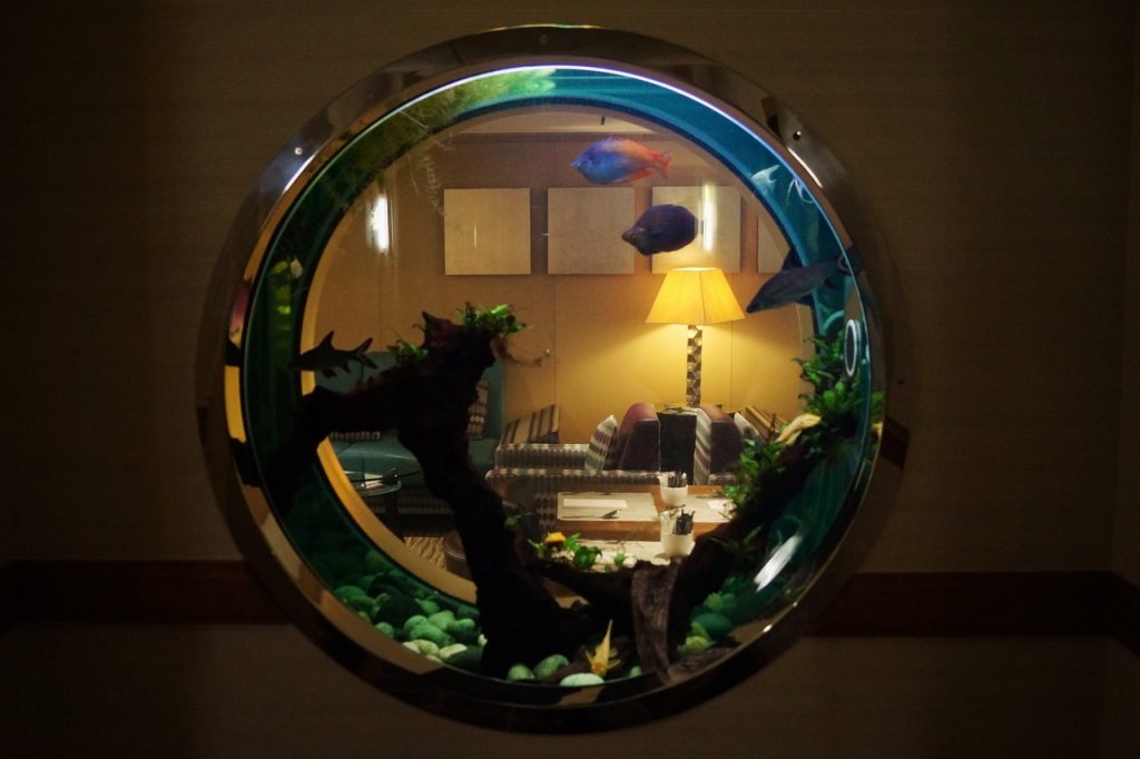 Hilton London Gatwick Airport Hotel Executive Lounge Fishtank