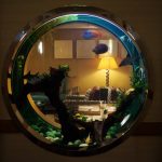 Hilton London Gatwick Airport Hotel Executive Lounge Fishtank