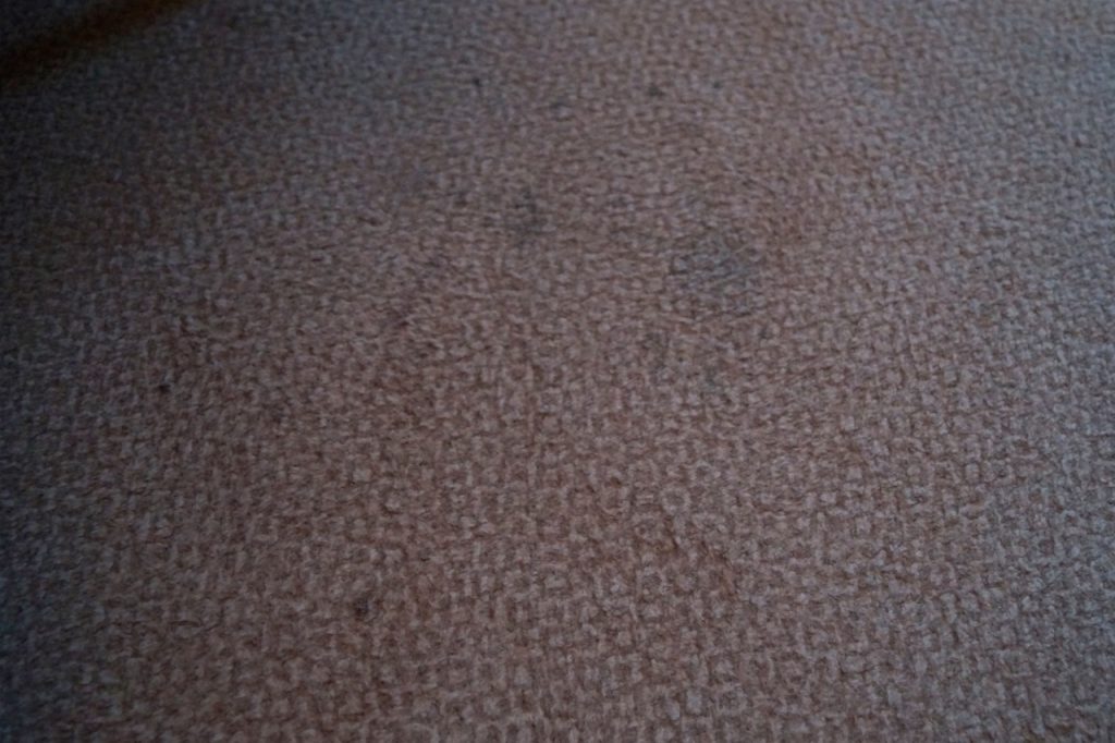 Hilton London Gatwick Airport Hotel Bedroom Carpet Stains
